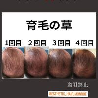 画像1497