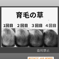 画像1498