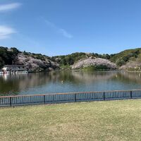 画像1524