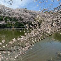 画像1525