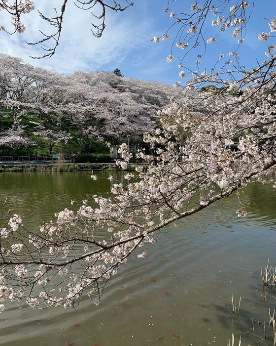 画像1525