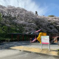 画像1526