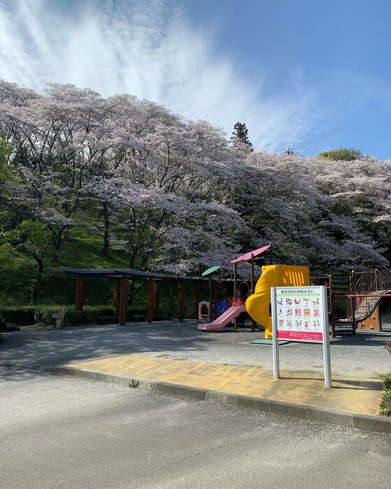 画像1526
