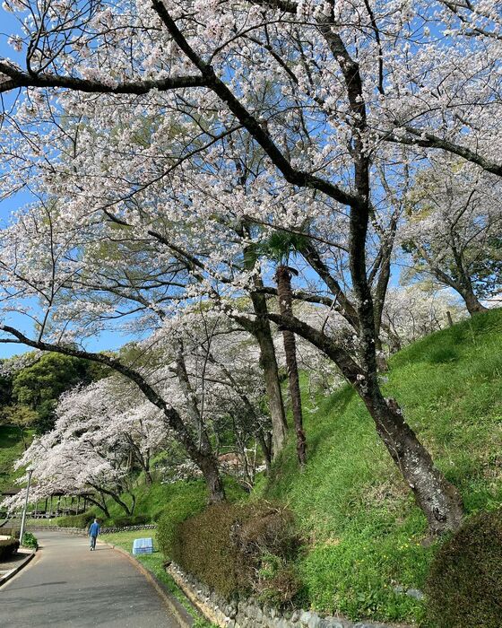 画像1527