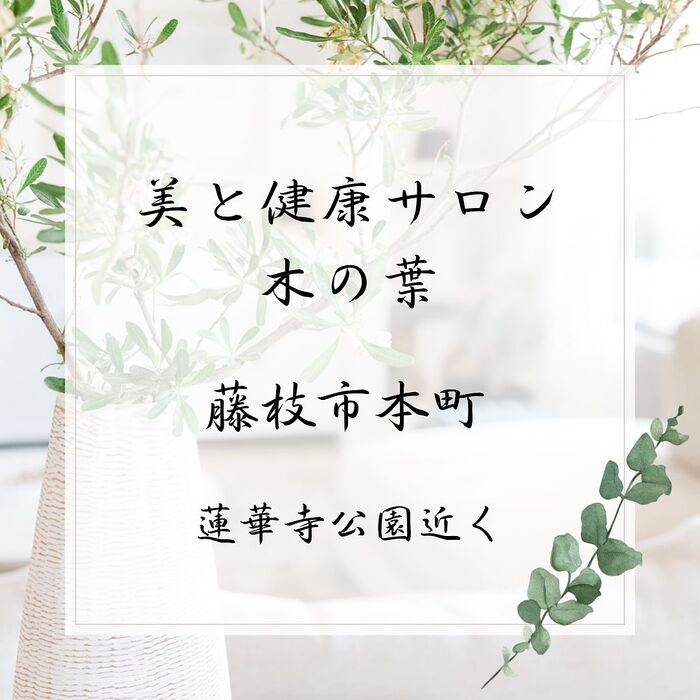 画像1620