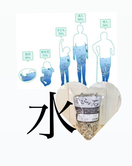 画像1646